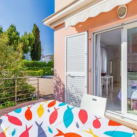 Daisy With A Garden *