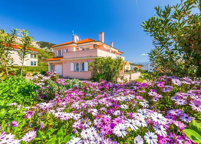 Daisy With A Garden Апартаменты *