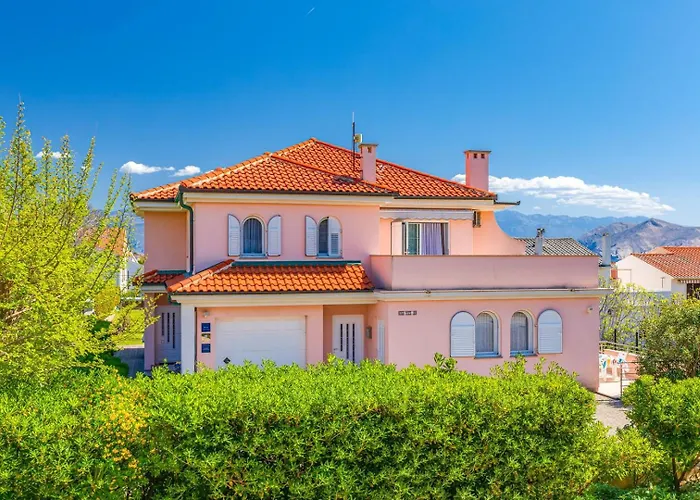 Daisy With A Garden Башка